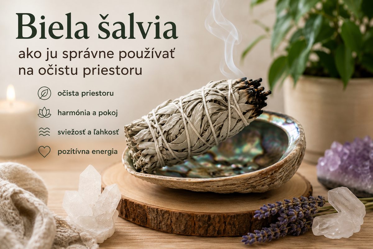 Biela šalvia na očistu priestoru